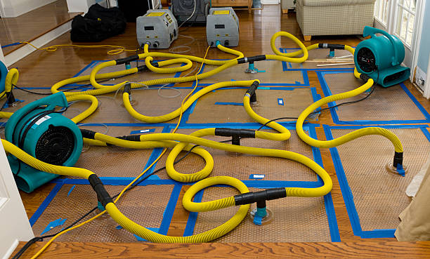 Professional Basement Flood Cleanup technician working in Skellytown, TX
